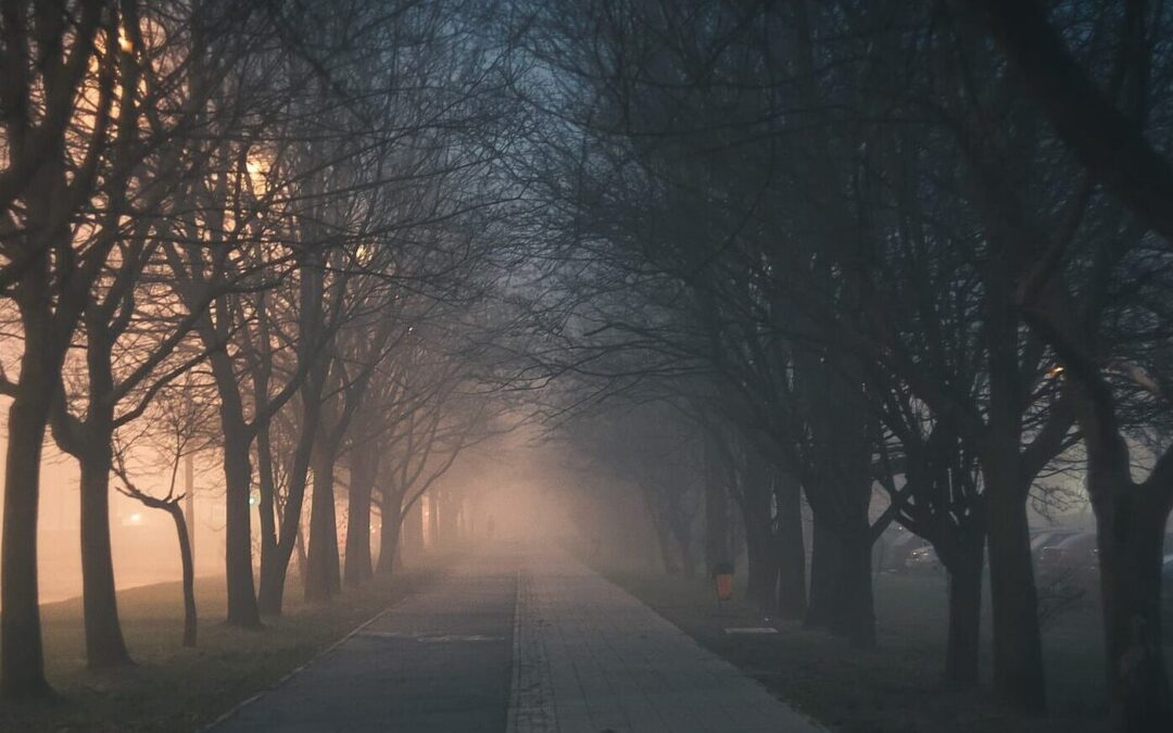 Carta 3: Las de la intuición.