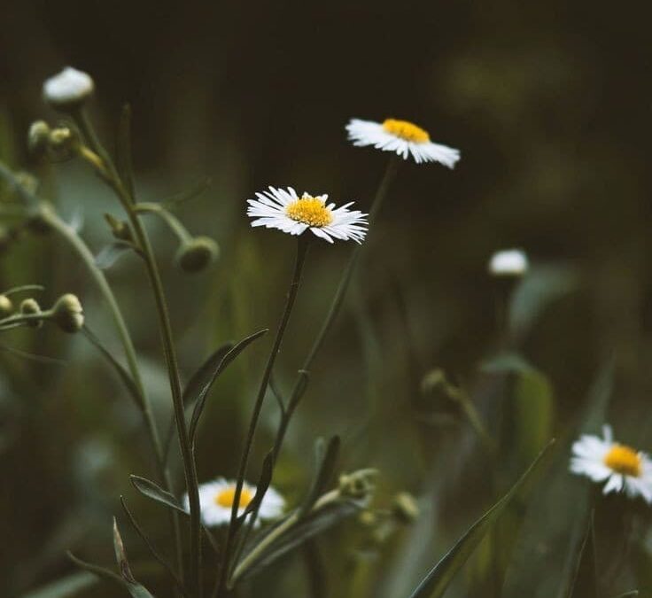 Carta 5: Encuentra tu motivación