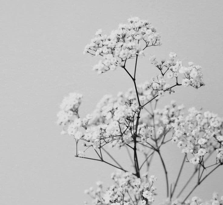 Carta 6: Amor de madre