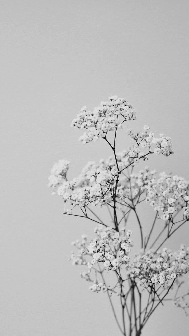 Flores blancas representan la pureza del amor de mamá.