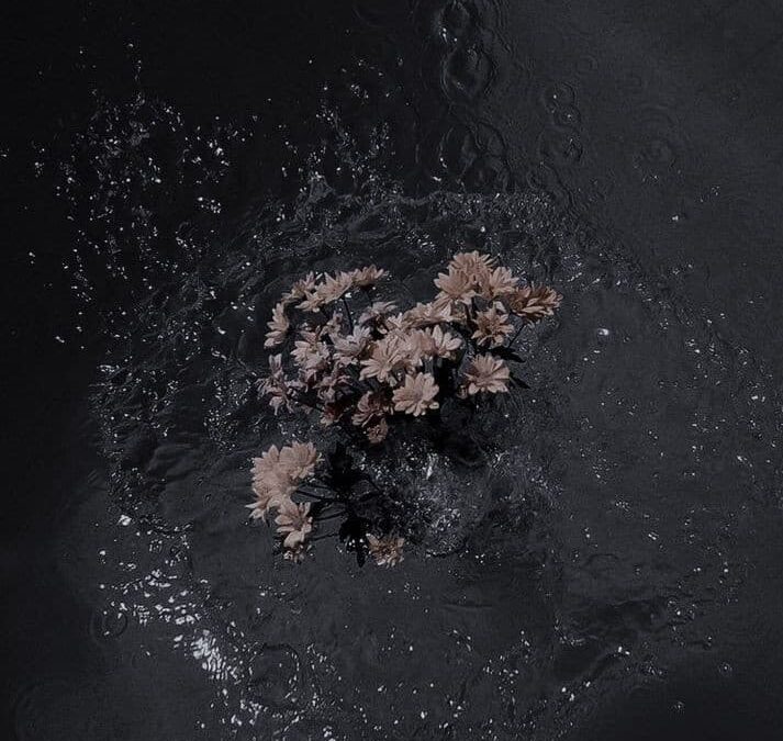 Bitácora del capitán 1: Sanación y cicatrices.