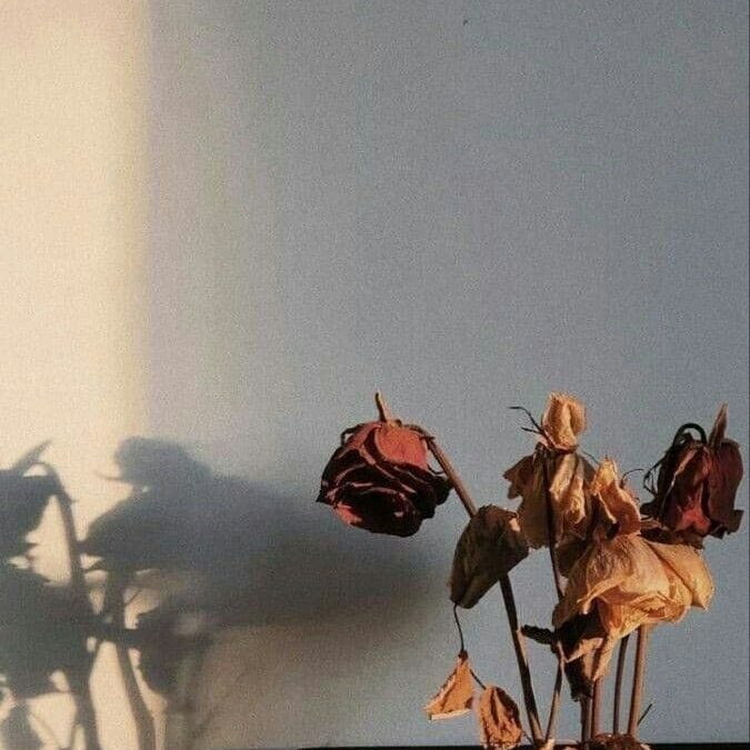 Carta 7.1: Hábitos de higiene que mantendrán sana tu mente.