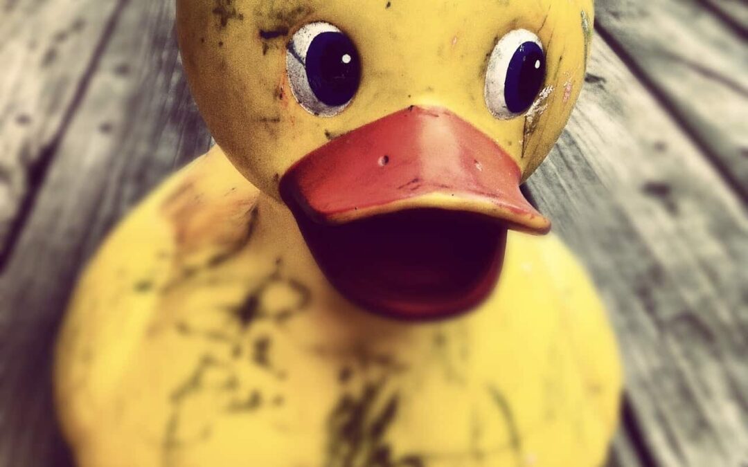 Carta 13: Ser lo que quieres