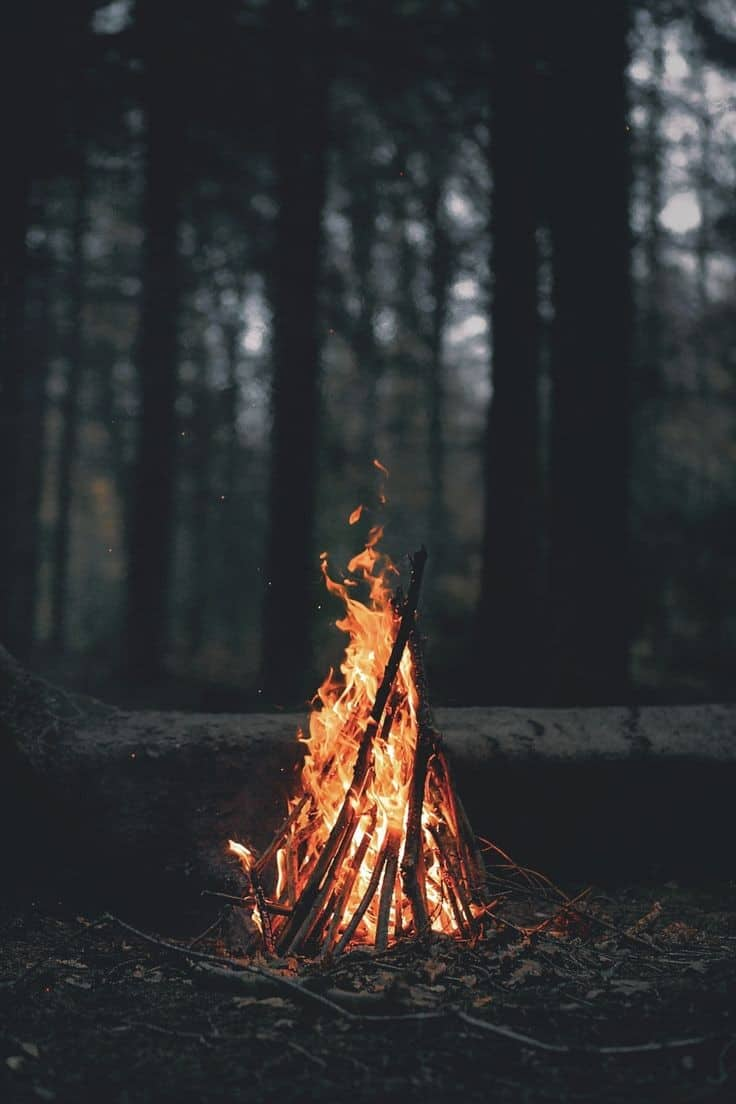 Fogata en el bosque. La combustión quema el aire.