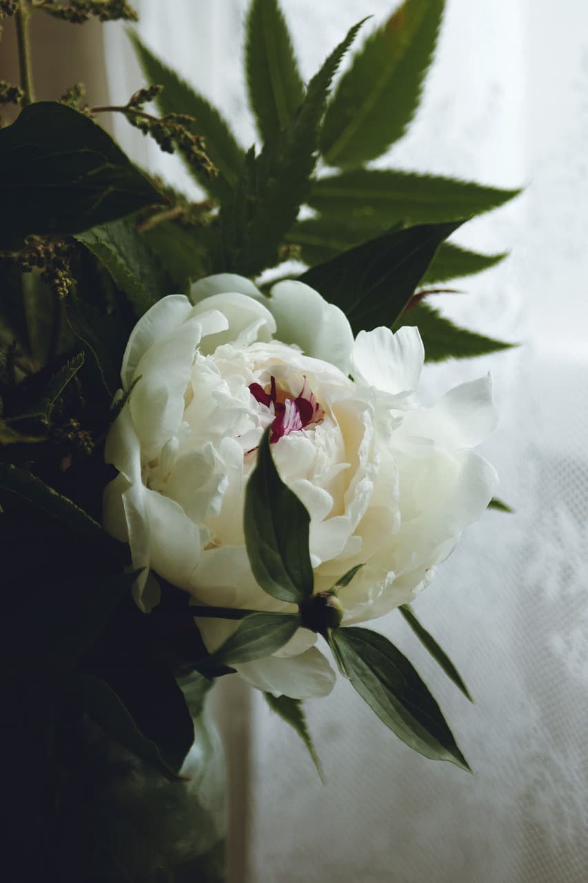 Flores blancas para mamá